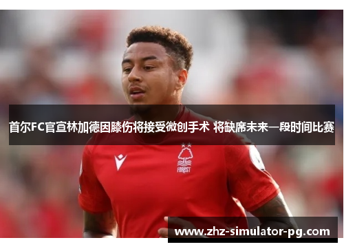 首尔FC官宣林加德因膝伤将接受微创手术 将缺席未来一段时间比赛 首尔FC官宣林加德因膝伤将接受微创手术 将缺席未来一段时间比赛
